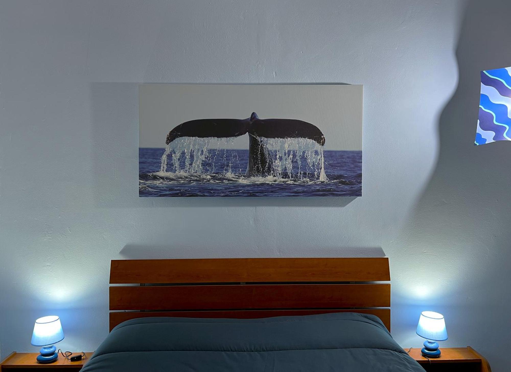 Casa Vacanze Oceano Ливорно Экстерьер фото